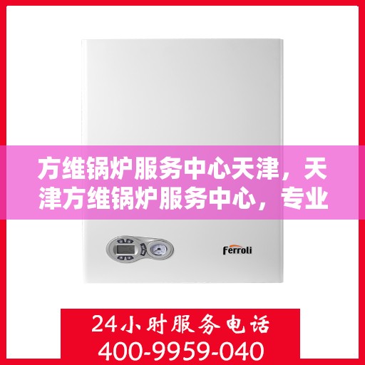 方维锅炉服务中心天津，天津方维锅炉服务中心，专业维护，安心之选