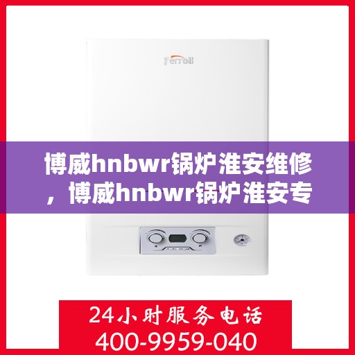 博威hnbwr锅炉淮安维修，博威hnbwr锅炉淮安专业维修服务