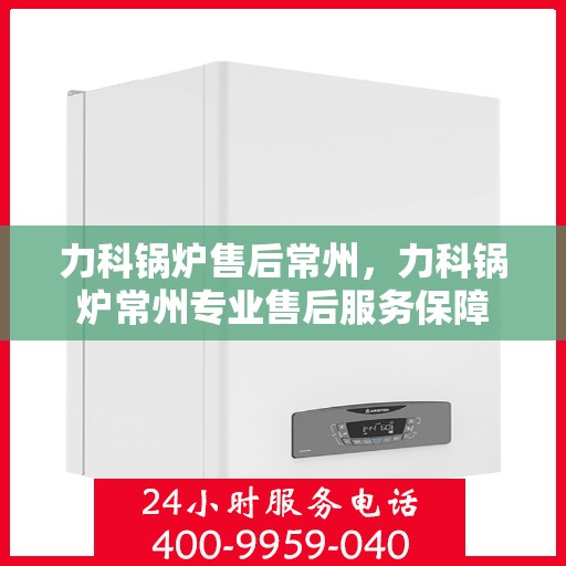 力科锅炉售后常州，力科锅炉常州专业售后服务保障