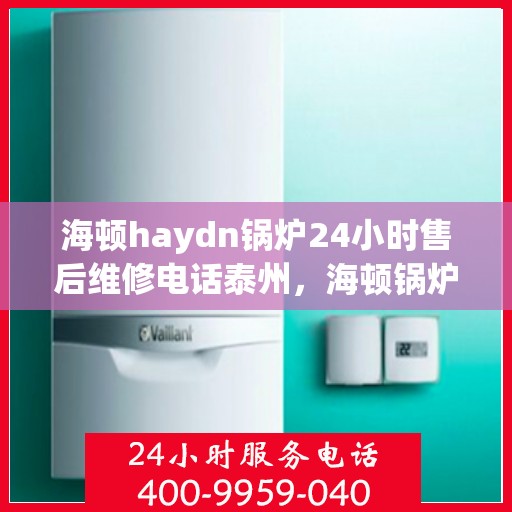 海顿haydn锅炉24小时售后维修电话泰州，海顿锅炉泰州售后维修热线，全天候服务保障，专业团队为您解答疑难