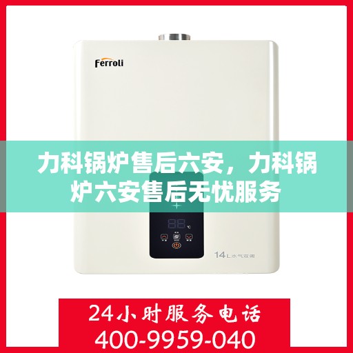 力科锅炉售后六安，力科锅炉六安售后无忧服务