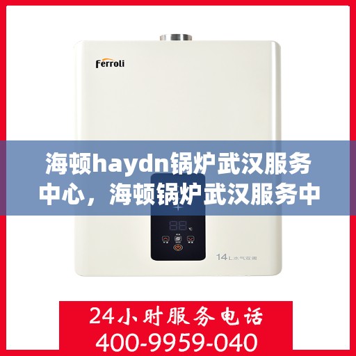 海顿haydn锅炉武汉服务中心，海顿锅炉武汉服务中心，专业维修与优质服务并行