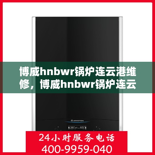 博威hnbwr锅炉连云港维修，博威hnbwr锅炉连云港专业维修服务