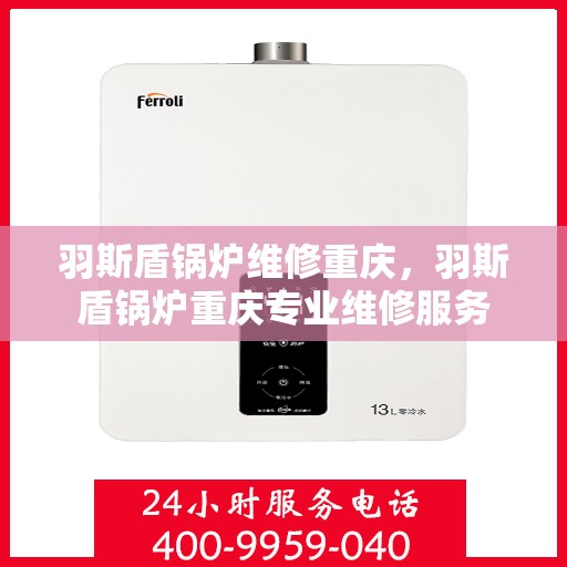 羽斯盾锅炉维修重庆，羽斯盾锅炉重庆专业维修服务