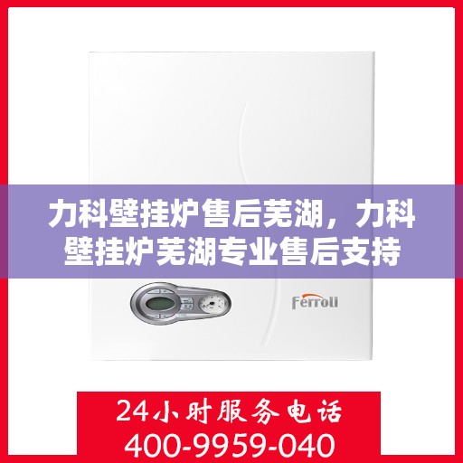 力科壁挂炉售后芜湖，力科壁挂炉芜湖专业售后支持