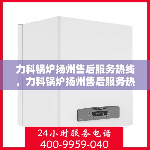 力科锅炉扬州售后服务热线，力科锅炉扬州售后服务热线，专业团队为您提供全方位服务支持