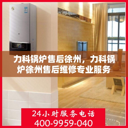 力科锅炉售后徐州，力科锅炉徐州售后维修专业服务