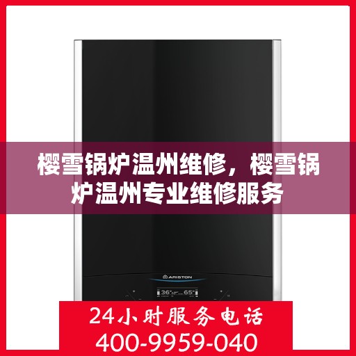 樱雪锅炉温州维修，樱雪锅炉温州专业维修服务