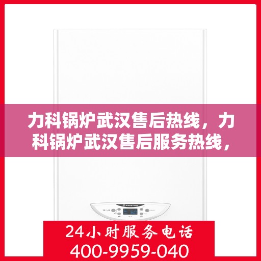 力科锅炉武汉售后热线，力科锅炉武汉售后服务热线，专业解决您的锅炉问题