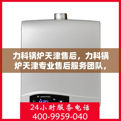 力科锅炉天津售后，力科锅炉天津专业售后服务团队，全方位技术支持，无忧维修体验