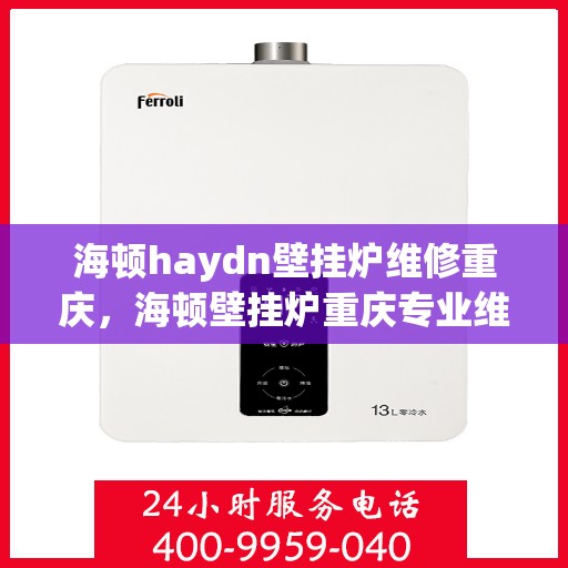 海顿haydn壁挂炉维修重庆，海顿壁挂炉重庆专业维修服务指南