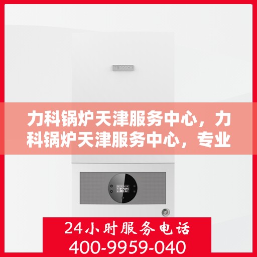 力科锅炉天津服务中心，力科锅炉天津服务中心，专业维修与优质服务的完美结合