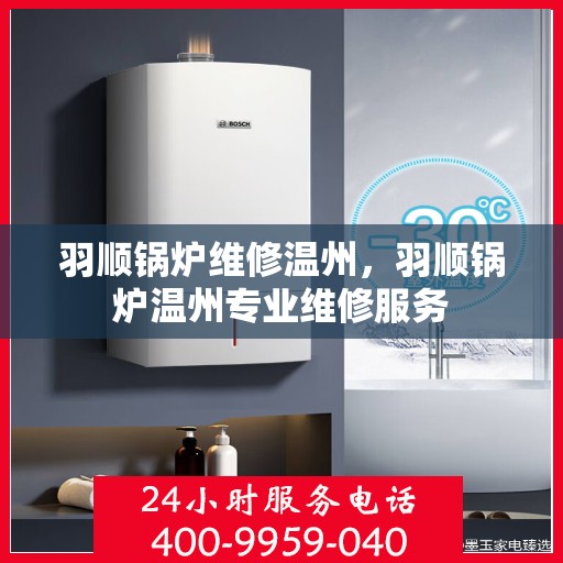 羽顺锅炉维修温州，羽顺锅炉温州专业维修服务
