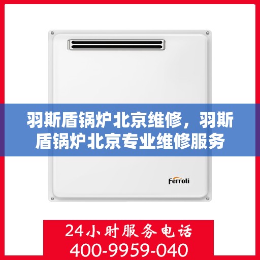 羽斯盾锅炉北京维修，羽斯盾锅炉北京专业维修服务