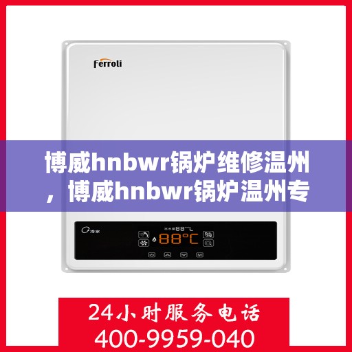 博威hnbwr锅炉维修温州，博威hnbwr锅炉温州专业维修服务