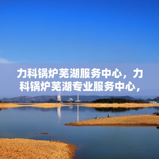 力科锅炉芜湖服务中心，力科锅炉芜湖专业服务中心，高效服务，品质保障