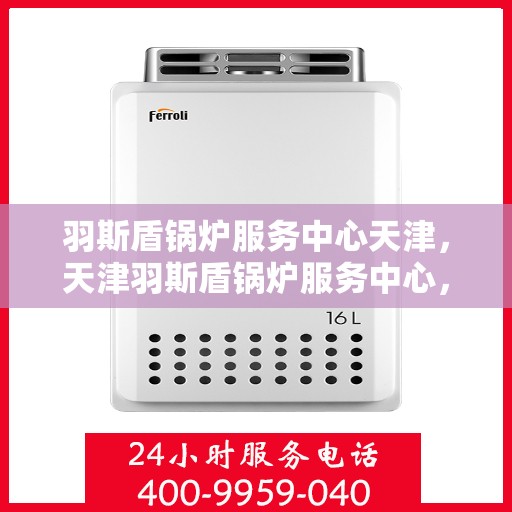 羽斯盾锅炉服务中心天津，天津羽斯盾锅炉服务中心，专业维护，高效运行