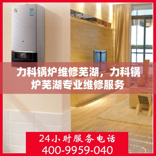 力科锅炉维修芜湖，力科锅炉芜湖专业维修服务