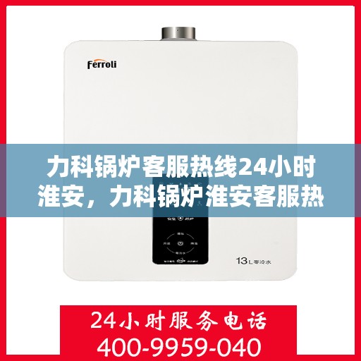 力科锅炉客服热线24小时淮安，力科锅炉淮安客服热线全天候服务，温暖您的每一刻