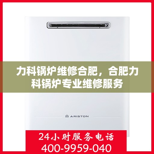 力科锅炉维修合肥，合肥力科锅炉专业维修服务