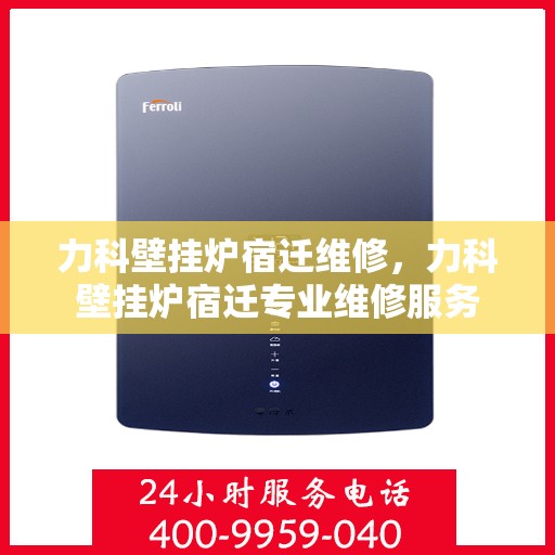 力科壁挂炉宿迁维修，力科壁挂炉宿迁专业维修服务