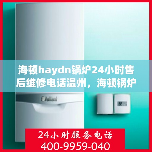 海顿haydn锅炉24小时售后维修电话温州，海顿锅炉温州售后维修热线，全天候服务保障，专业解决您的锅炉问题