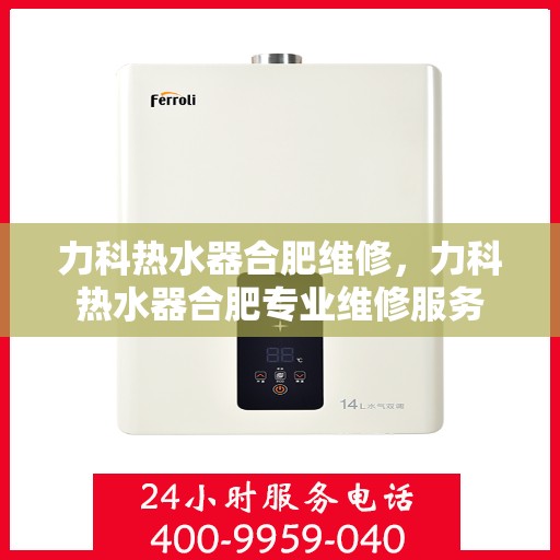 力科热水器合肥维修，力科热水器合肥专业维修服务