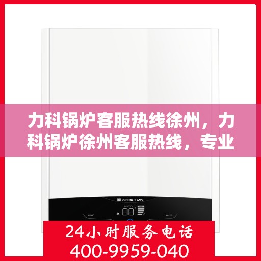 力科锅炉客服热线徐州，力科锅炉徐州客服热线，专业解答，温暖服务