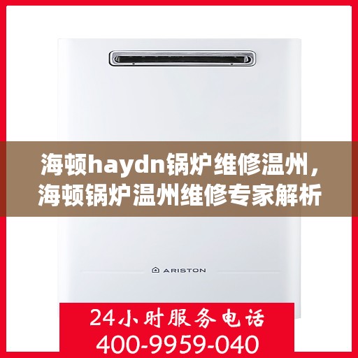 海顿haydn锅炉维修温州，海顿锅炉温州维修专家解析与实战指南