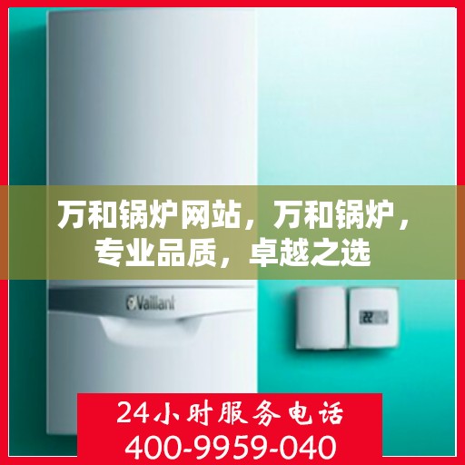 万和锅炉网站，万和锅炉，专业品质，卓越之选