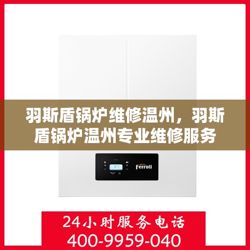 羽斯盾锅炉维修温州，羽斯盾锅炉温州专业维修服务