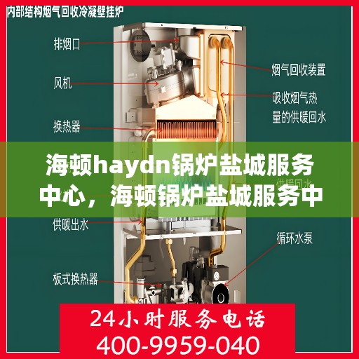 海顿haydn锅炉盐城服务中心，海顿锅炉盐城服务中心，专业维修与优质服务并重