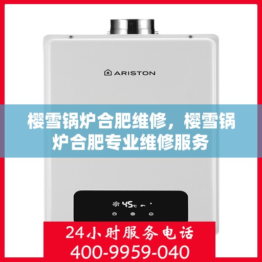 樱雪锅炉合肥维修，樱雪锅炉合肥专业维修服务