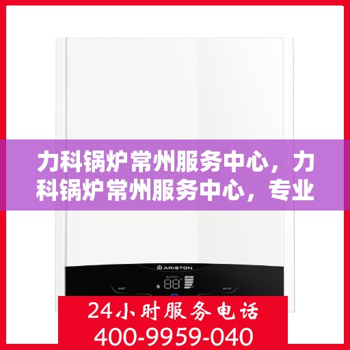 力科锅炉常州服务中心，力科锅炉常州服务中心，专业维修与优质服务并重