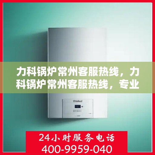 力科锅炉常州客服热线，力科锅炉常州客服热线，专业解答，贴心服务