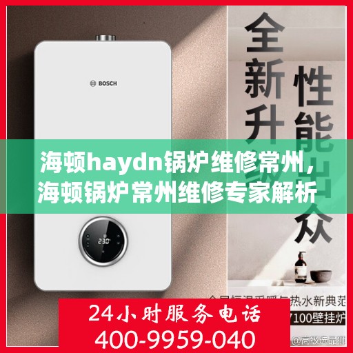 海顿haydn锅炉维修常州，海顿锅炉常州维修专家解析与实战指南
