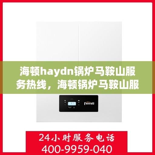 海顿haydn锅炉马鞍山服务热线，海顿锅炉马鞍山服务热线，专业维修，贴心保障