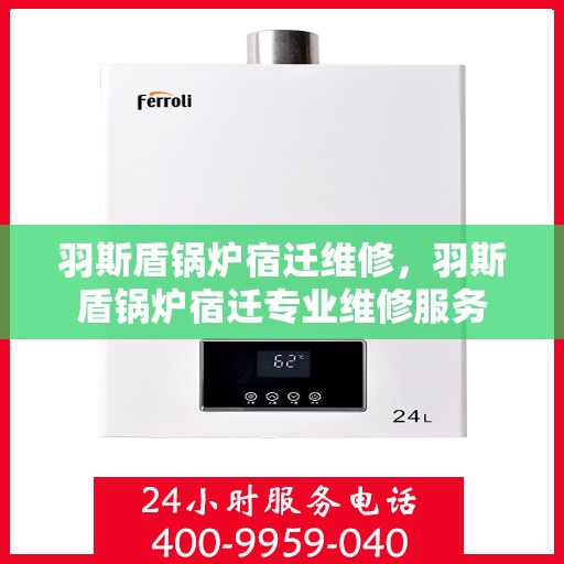 羽斯盾锅炉宿迁维修，羽斯盾锅炉宿迁专业维修服务