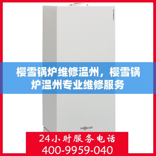 樱雪锅炉维修温州，樱雪锅炉温州专业维修服务
