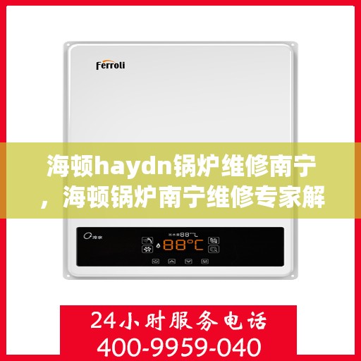 海顿haydn锅炉维修南宁，海顿锅炉南宁维修专家解析与实战指南