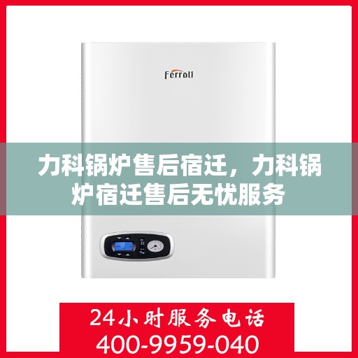 力科锅炉售后宿迁，力科锅炉宿迁售后无忧服务