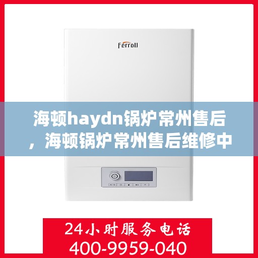 海顿haydn锅炉常州售后，海顿锅炉常州售后维修中心专业服务解析