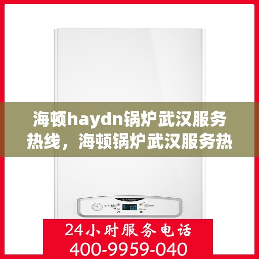 海顿haydn锅炉武汉服务热线，海顿锅炉武汉服务热线，专业维修与支持团队为您解答疑问
