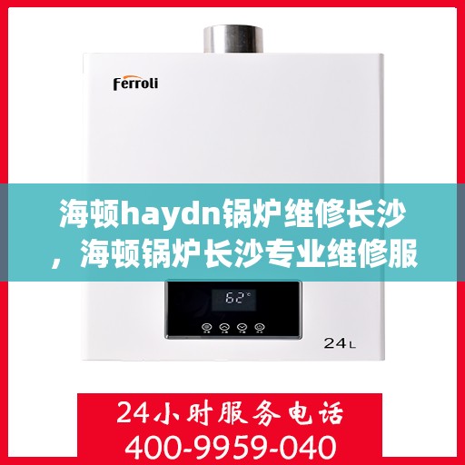 海顿haydn锅炉维修长沙，海顿锅炉长沙专业维修服务