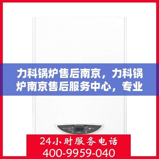 力科锅炉售后南京，力科锅炉南京售后服务中心，专业维修，贴心服务