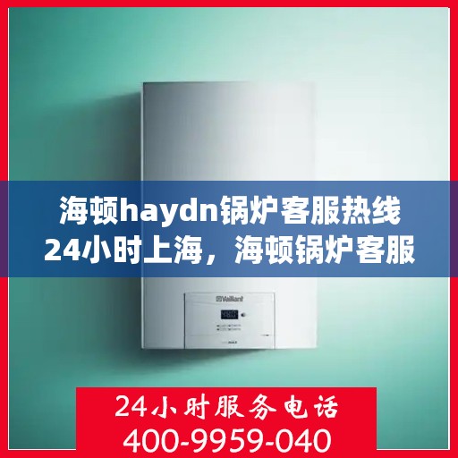 海顿haydn锅炉客服热线24小时上海，海顿锅炉客服热线全天候服务上海地区，贴心关怀无间断