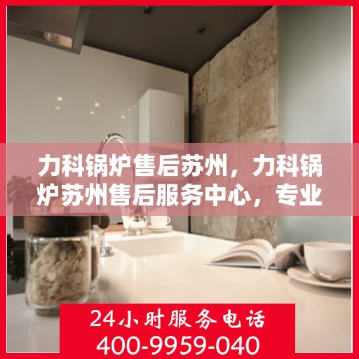 力科锅炉售后苏州，力科锅炉苏州售后服务中心，专业维修与贴心服务
