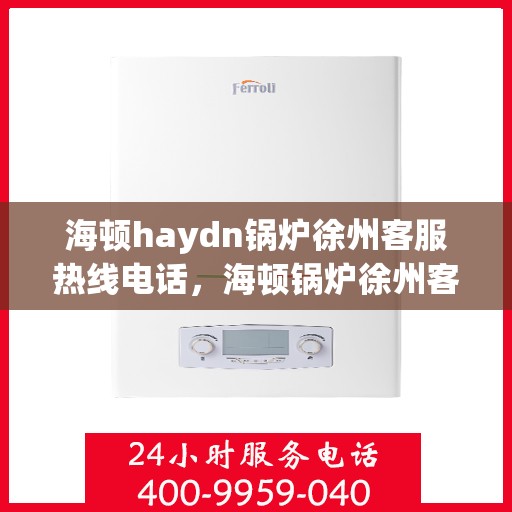 海顿haydn锅炉徐州客服热线电话，海顿锅炉徐州客服热线电话，专业支持与解决方案一站式服务