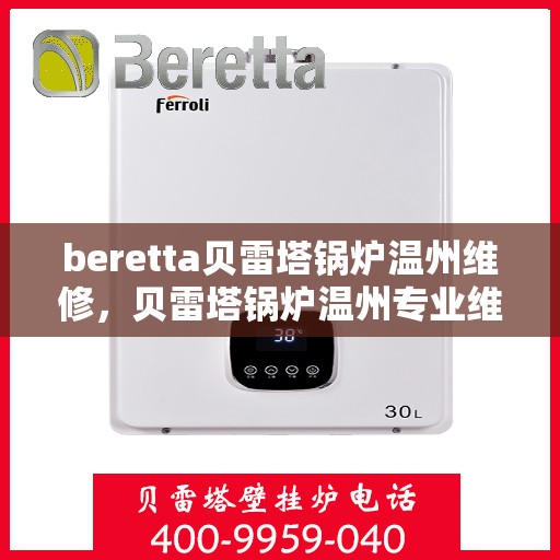 beretta贝雷塔锅炉温州维修，贝雷塔锅炉温州专业维修服务
