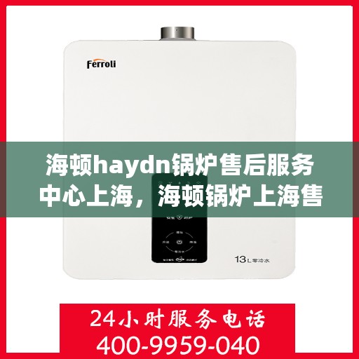 海顿haydn锅炉售后服务中心上海，海顿锅炉上海售后服务中心，专业维修与贴心服务
